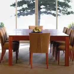 Forte dining table with forte chairs timber is blackwood natural finish